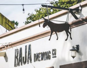 Baja Brewing Company