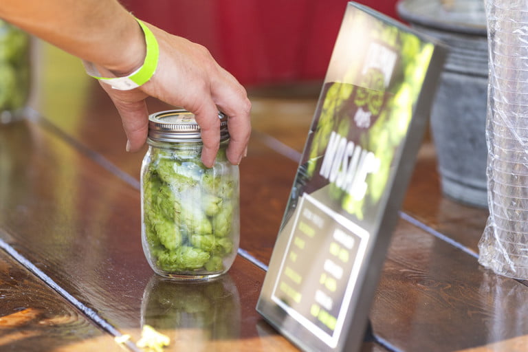 Coleman Farms Hop Terroir Study